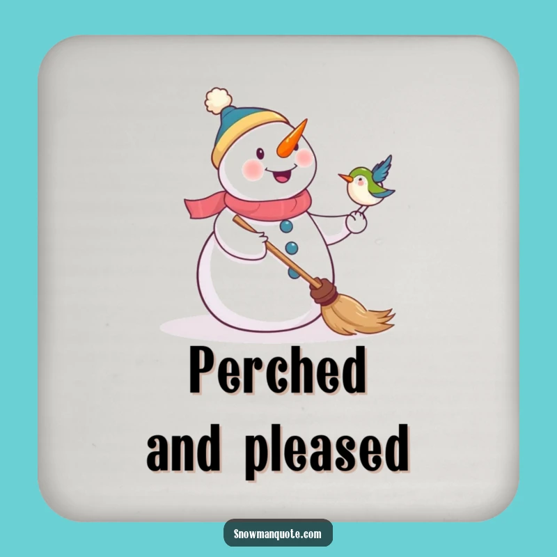Funny Snowman & Bird Coasters - Protect Surfaces & Funny Gift
